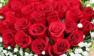 情人节最好看的图片 情人节最好看的图片